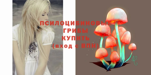 амф Балахна