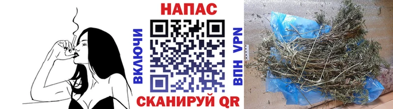 Конопля тримм  где продают   Кувандык 